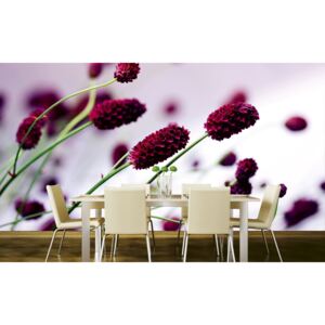 Foto tapet 3D Floral Violet, Dimex, 5 fâșii, 375 x 250cm