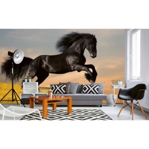 Foto tapet 3D Horse, Dimex, 5 fâșii, 375 x 250cm