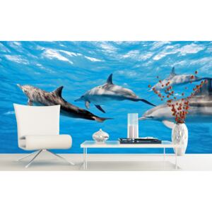 Foto tapet 3D Dolphins, Dimex, 5 fâșii, 375 x 250cm