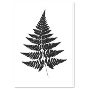 Tablou CARO - Fern Leaves 80x120 cm