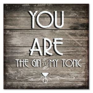Tablou CARO - You Are The Gin 30x30 cm