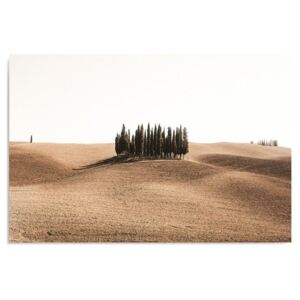 Tablou CARO - Toscana 100x70 cm