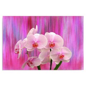Tablou CARO - Orchids 11 100x70 cm