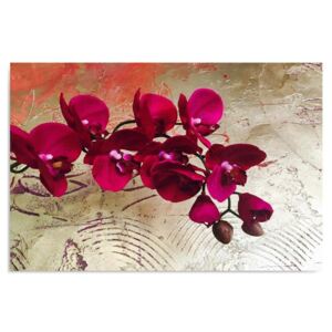 Tablou CARO - Orchids 10 120x80 cm