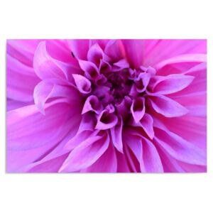 Tablou CARO - Purple Flower 40x30 cm