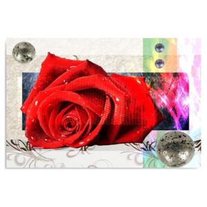 Tablou CARO - Red Rose 100x70 cm