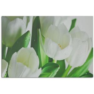 Tablou CARO - White Tulips 40x30 cm