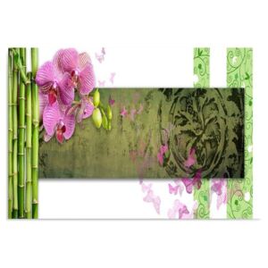 Tablou CARO - Orchid And Bamboos 40x30 cm