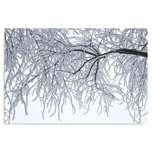Tablou CARO - Snow-Covered Branches 40x30 cm