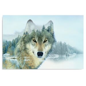Tablou CARO - Wolf On The Lake 40x30 cm