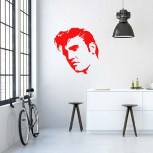 Elvis - autocolant de perete Rosu deschis 50 x 50 cm
