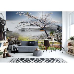 Fototapet - Cherry Blossom Mountain Path Vliesová tapeta - 206x275 cm
