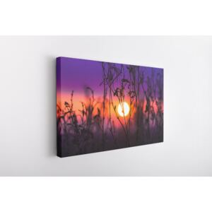 Tablou Canvas INSPO - Purple Sunset 30x40