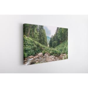Tablou Canvas INSPO - Moutain Forest 30x40