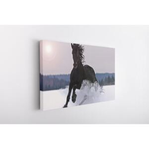 Tablou Canvas INSPO - Wild Horse 30x40