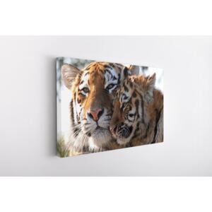 Tablou Canvas INSPO - Cute Tigers 30x40