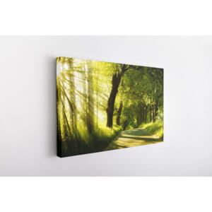 Tablou Canvas INSPO - Green Paradise 30x40