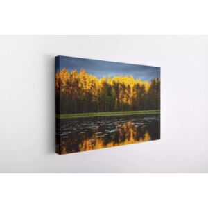 Tablou Canvas INSPO - Autumn Forest 30x40