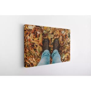 Tablou Canvas INSPO - Chestnuts Autumn 30x40