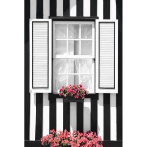 Fotografii artistice Black and White Striped Window, Philippe Hugonnard
