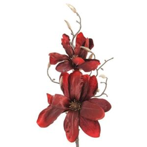 Magnolie rosie 86 cm
