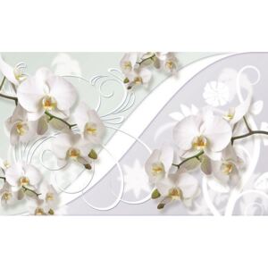 Buvu Fototapet: Orhideea albă (model) - 184x254 cm