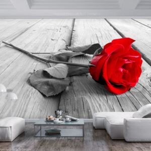 Fototapet Bimago - Abandoned Rose + Adeziv gratuit 200x140 cm