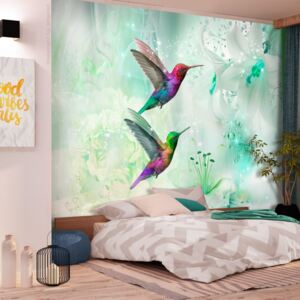 Fototapet Bimago - Colourful Hummingbirds (Green) + Adeziv gratuit 200x140 cm