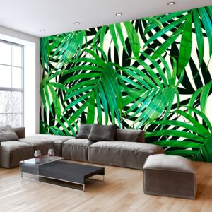 Fototapet Bimago - Tropical Leaves + Adeziv gratuit 250x175 cm
