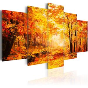 Tablou pe pânză - Autumn Alley 100x50 cm