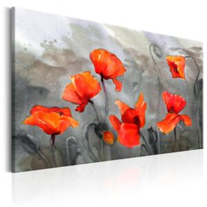 Tablou pe pânză - Poppies (Watercolour) 90x60 cm