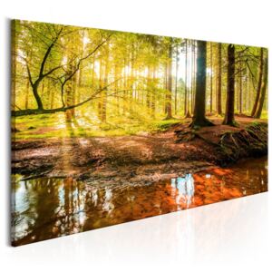 Tablou pe pânză - Autumnal Reverie 70x35 cm