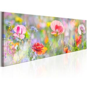 Tablou pe pânză - Rainbow of Morning Poppies 135x45 cm
