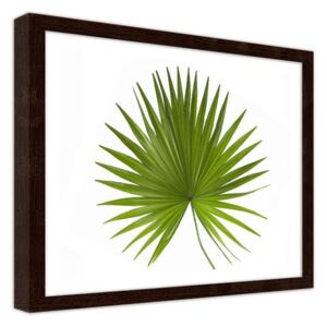 CARO Imagine în cadru - Palm Leaf 40x30 cm Maro