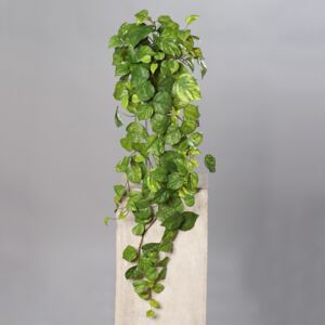 Plante artificiale curgatoare verde - 80 cm