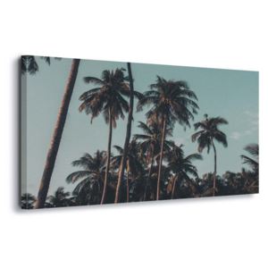 Tablou - Retro Palms 60x40 cm