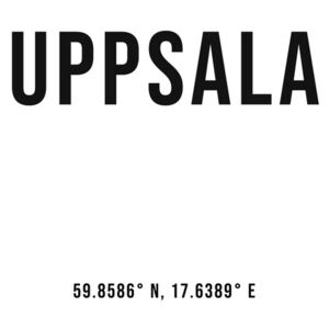 Fotografii artistice Uppsala simple coordinates, Finlay Noa