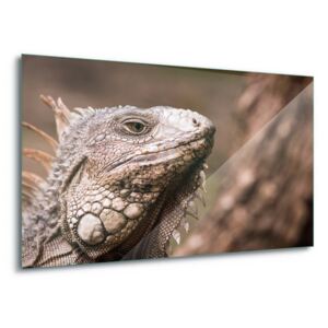 Tablou pe sticlă - Lizard Look 4 x 30x80 cm