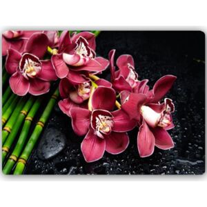 CARO Tablou metalic - Orchid On Bamboo 40x30 cm