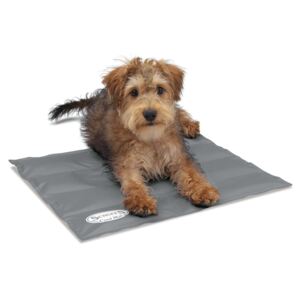 Scruffs & Tramps Scruffs & Tramps Pătură termică pentru câine, gri, mărime S 2716 2716