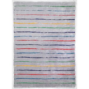 Covor Shaggy Soft, Multicolor, 65x135