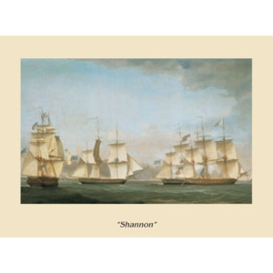 The Ship Shannon Reproducere, Navi, (80 x 60 cm)