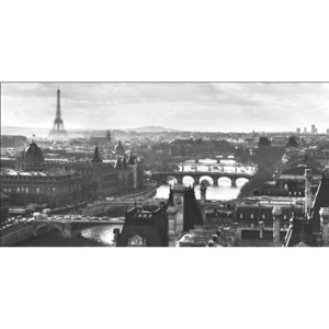 Paris - Seina Reproducere, PETER TURNLEY, (100 x 50 cm)
