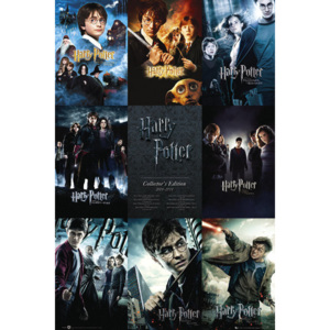 HARRY POTTER - collection Poster, (61 x 91,5 cm)