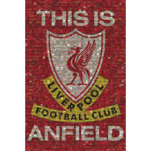 Liverpool - mosaic Poster, (61 x 91,5 cm)