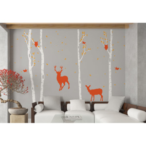 Birch grove - autocolant de perete Portocaliu + trunchi alb 330 x 230 cm
