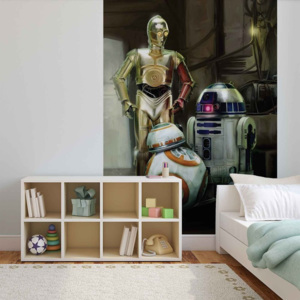 Star Wars Droids Fototapet, (211 x 90 cm)
