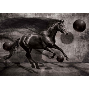 Horse Spheres Black 3D Fototapet, (416 x 254 cm)