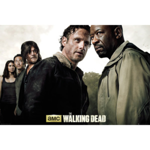 The Walking Dead - Season 6 Poster, (91,5 x 61 cm)