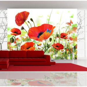 Fototapet - Country poppies 400x270